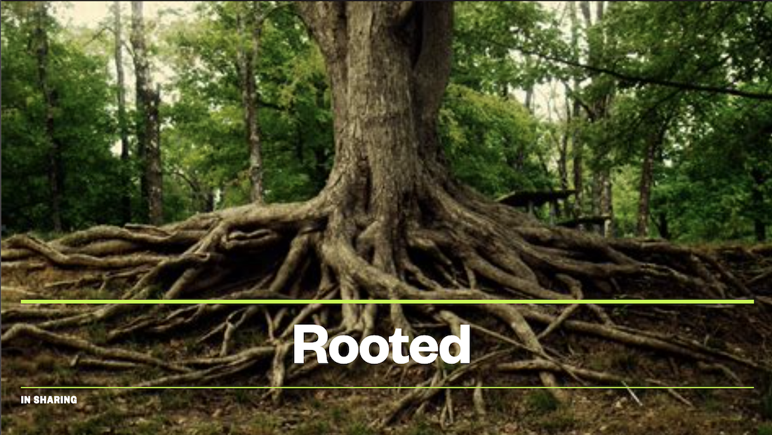 Rooted in Sharing, Week 1 by Lance Steeves